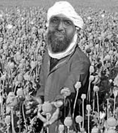 Czarweary Poppy Harvester.jpg