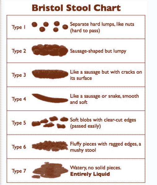 BristolStoolChart copy.gif