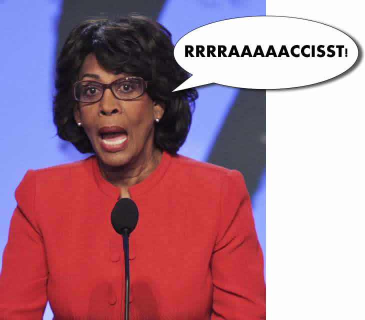 Maxine Waters rACE cARD.jpg