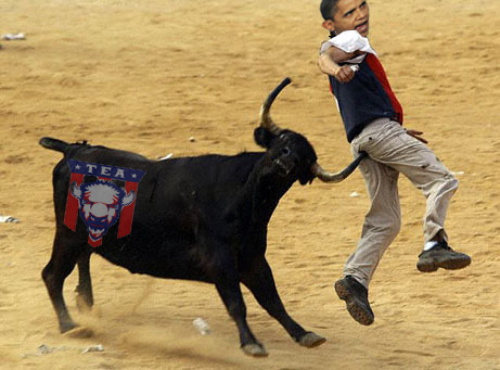 runningbulls.jpg