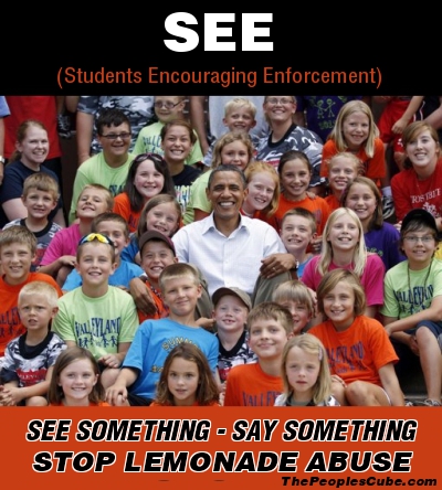 lemonade abuse.jpg