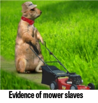 slave.jpg