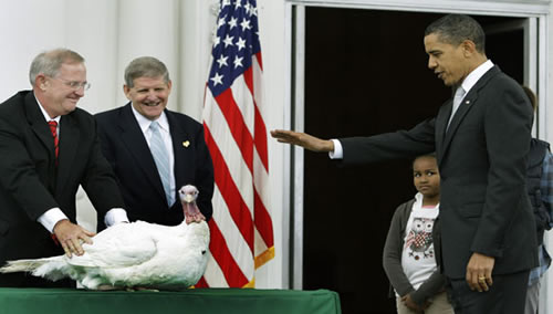 obama-turkey[1].jpg