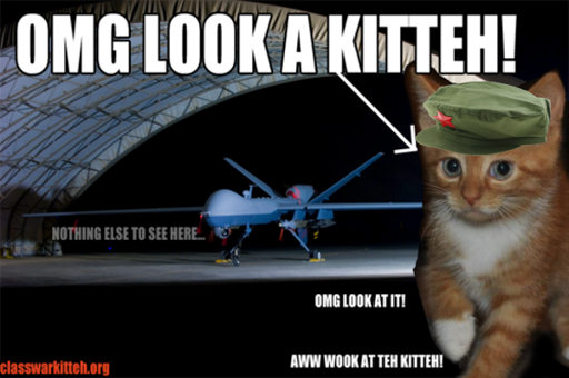 catdrone.png