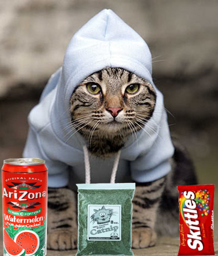 Cat-with-hoodie.jpg