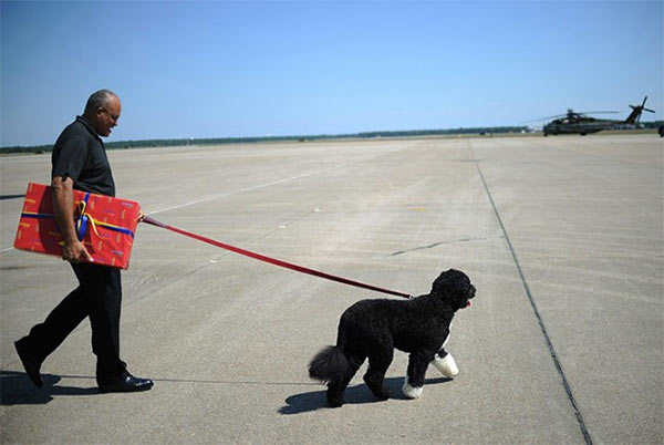Bo_Helicopter_Vacation.jpg