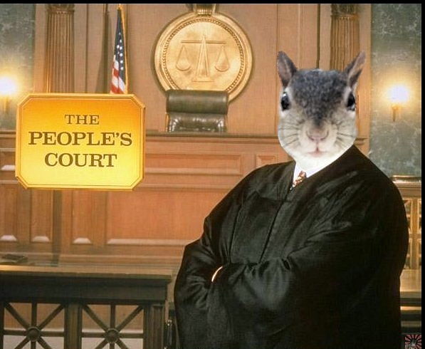 Judge Craptek.jpg