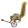 squirrel_banjo_mini.gif