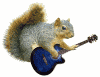 squirrel_blueguitar_mini.gif