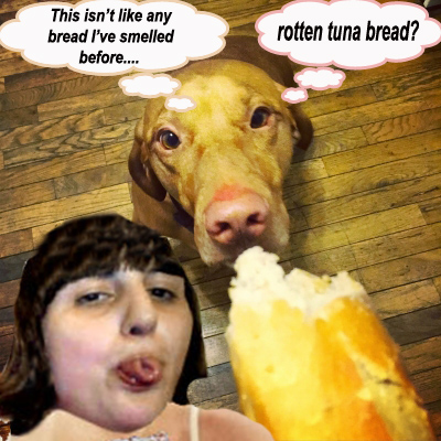 dog eating bread copy.jpg