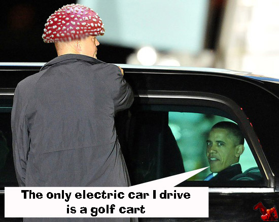 Obama INsane copy cart.jpg