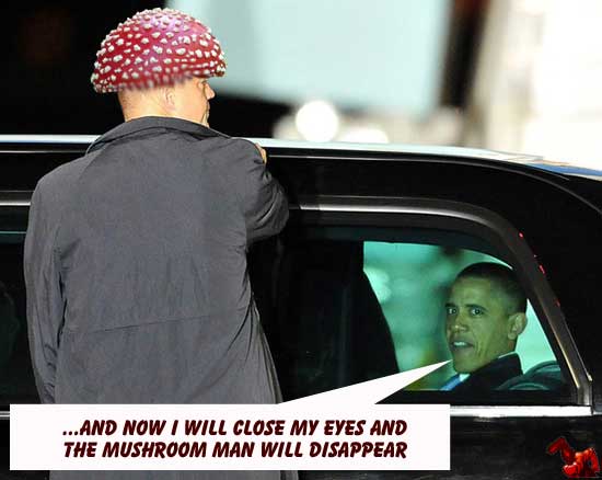 Obama_Mushroom_Man.jpg
