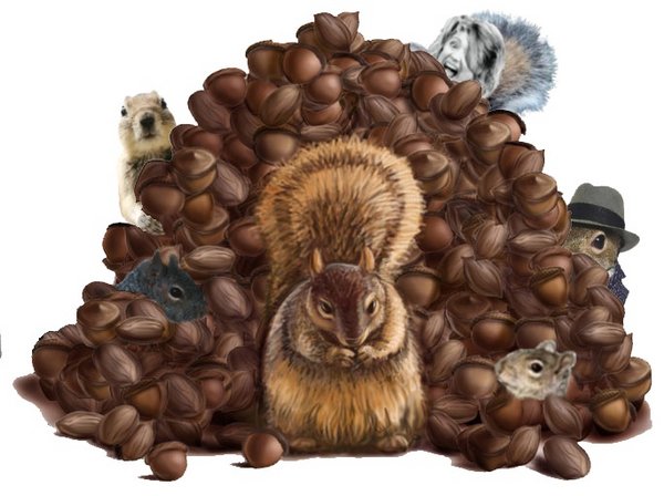 Pile of nuts 2.jpg