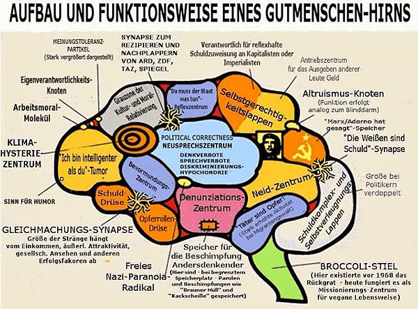 Brain_Socialist_German.jpg