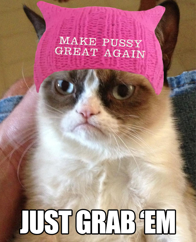 Grumpy Cat - Just Grab Em.jpg