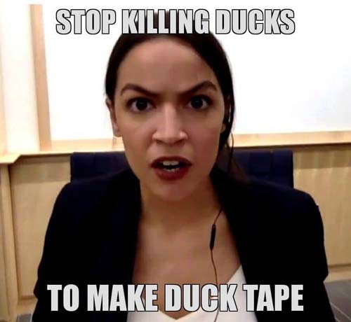 AOC_3.jpg