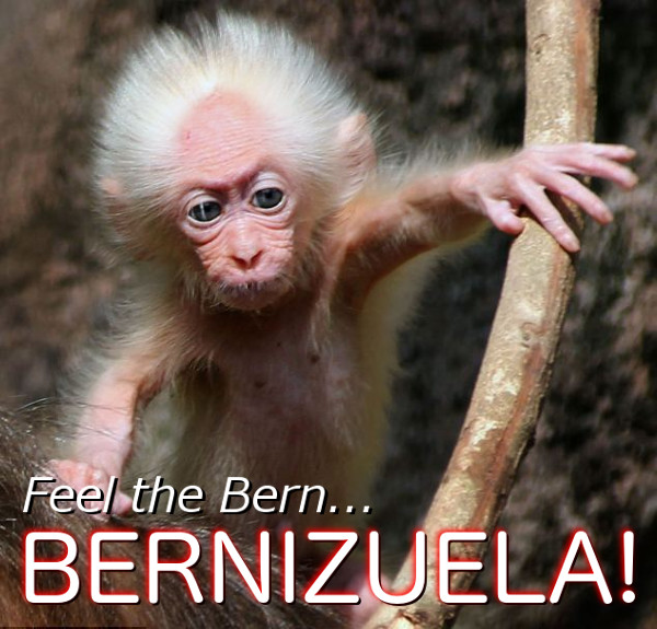 bernizuela-monkey2.jpg
