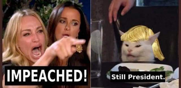Trump_Cat_Meme.jpg