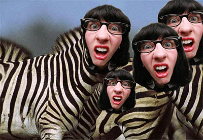 file 400x276 002884.gif