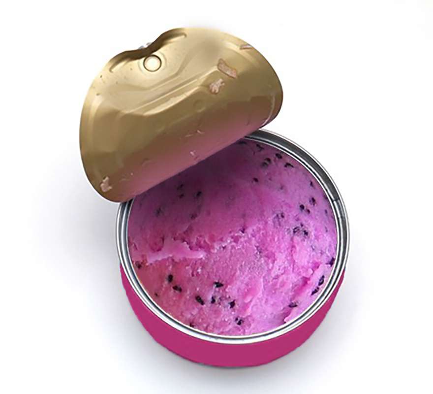 canned-ice-cream.jpg